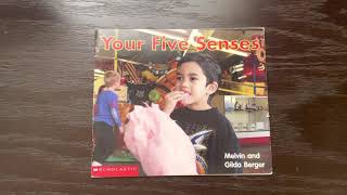 Your Five Senses by Melvin and Gilda Berger  Senses Read Aloud [upl. by Akela295]