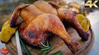 Primitive Cooking in 4K  EPIC Grilled Whole Chicken [upl. by Yirinec]