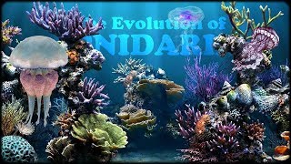 Evolution of Cnidarians [upl. by Kadner]