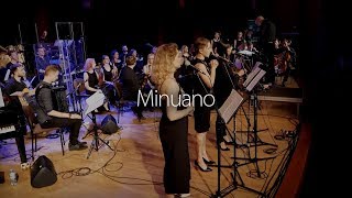 Minuano  Pat Metheny amp Lyle Mays arr Paweł Kasper Wysocki [upl. by Ellesig]