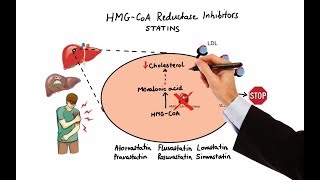 Pharmacology  DRUGS FOR HYPERLIPIDEMIA MADE EASY [upl. by Kcirddes]