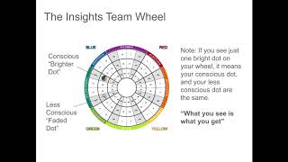 Insights Discovery Review [upl. by Belle]