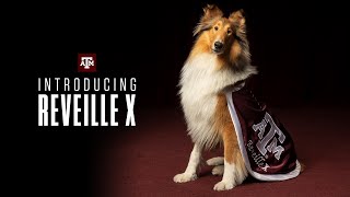 Introducing Reveille X [upl. by Woodford]