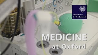 Medicine at Oxford University [upl. by Alik415]