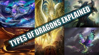 11 Different Types Of Dragons Explained [upl. by Gad]