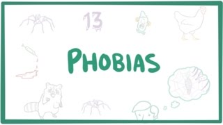 Phobias  specific phobias agoraphobia amp social phobia [upl. by Cleve914]