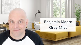 Benjamin Moore Gray Mist Color Review [upl. by Leffert]