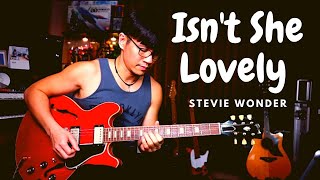 Stevie Wonder  Isnt She Lovely  guitar cover [upl. by Donnie]