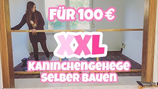 Für 100€ XXL Kaninchengehege selber bauen [upl. by Ahsirtal]