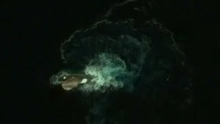 10 Mysterious Deep Sea Creatures Spotted On Google Earth [upl. by Souza]