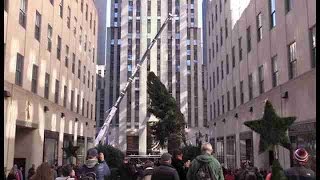 El Rockefeller Center se prepara para el encendido de su árbol de Navidad [upl. by Loris]