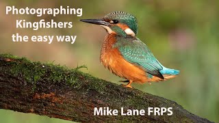 Photographing Kingfishers the easy way [upl. by Henriques]