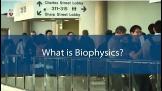 What is Biophysics [upl. by Nidak]