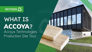 What is Accoya Sustainable Wood  Accsys Technologies Site Tour [upl. by Groveman]