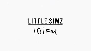 Little Simz  101 FM Official Lyric Video [upl. by Aciretal]