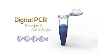 Digital PCR Principle amp Advantages [upl. by Ki]