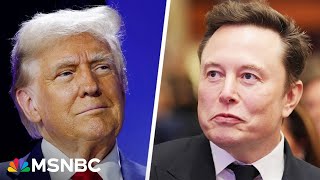 Constitutional crisis Dems sound alarm on Trump and Musk actions [upl. by Aihsemat74]