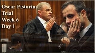 Oscar Pistorius Trial Monday 14 April 2014 Session 1 [upl. by Mikah47]