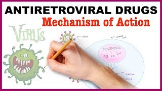 Antiretroviral Drugs Pharmacology  Mechanism of Action [upl. by Assira]