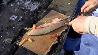 How to Boneless Northern Pike Fillets [upl. by Eenaj]