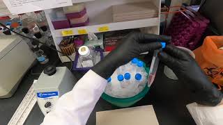 Cell Cycle Analysis by Flow Cytometry [upl. by Sylera892]