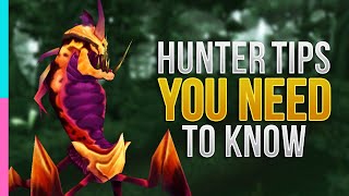 TBC Hunter Essential Guide  Burning Crusade Primer  WoW TBC Classic [upl. by Burch782]