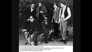 Paul Butterfield Blues Band  Mary Mary [upl. by Iover173]