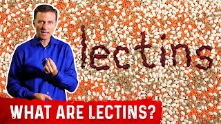 What Are Lectins – Dr Berg [upl. by Dominik861]