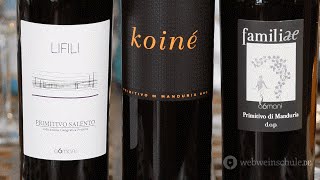 Weinschule Folge 49 Primitivo [upl. by Jourdain]