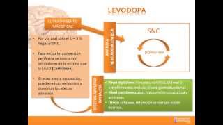 Tema 21 Farmacología de las Enfermedades Degenerativas del Sistema Nervioso Central [upl. by Oigufer117]