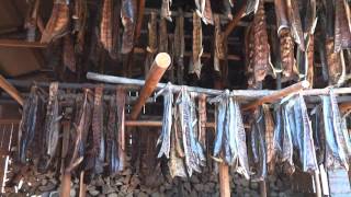 Traditional Smoked Salmon method in Alaska [upl. by Hgalehs]