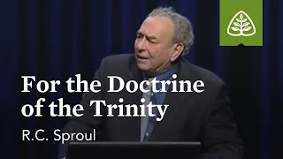 RC Sproul For the Doctrine of the Trinity [upl. by Vanden]