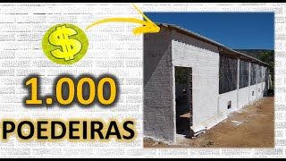 INVESTIMENTO INICIAL galpão para 1000 POEDEIRAS [upl. by Richara]