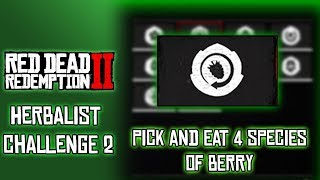 RDR2 Herbalist Challenge 2 Pick and Eat Four Species of Berry [upl. by Gautious171]