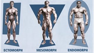 Ectomorph Endomorph Mesomorph How To Train amp Eat For YOUR Body Type [upl. by Nesahc]