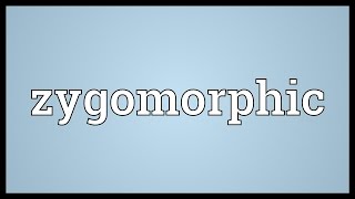 Zygomorphic Meaning [upl. by Adnat]