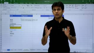 MS Excel  Formatting [upl. by Flagler]