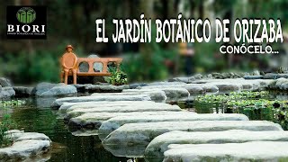 CONOCE EL JARDÍN BOTÁNICO DE ORIZABA  BIORI  ORIZABA VERACRUZ  IN MADUROS [upl. by Asilrahc]