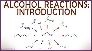 Introduction to Alcohol Properties and Reactions [upl. by Aneerhs]