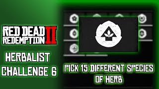 RDR2 Herbalist Challenge 6 Pick 15 Different Species Of Herbs [upl. by Cohligan]