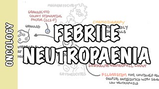 Understanding Neutrophil Disorders [upl. by Enotna947]