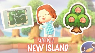 STARTING A NEW ISLAND 🏝 Day 1  Animal Crossing New Horizons [upl. by Acinyt]