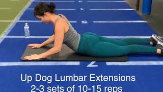 4 exercises to improve your lumbar Radiculopathy [upl. by Enomys896]