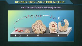 Disinfection and Sterilization [upl. by Meece619]