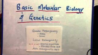 Genetic heterogeneity locus and allelic [upl. by Assenna762]