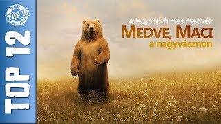 TOP 12 MEDVE  MACI A FILMVÁSZNON  MEDVÉS FILMEK [upl. by Nigen112]