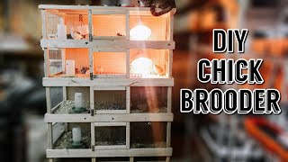 DIY Chick Brooder  Multiple Level Chick Brooder  Chick Brooder Design [upl. by Kaile]