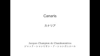 JCChambonnières Canaris JCシャンボニエール カナリア [upl. by Mihe]