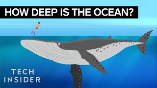 This Incredible Animation Shows How Deep The Ocean Really Is [upl. by Nilde547]