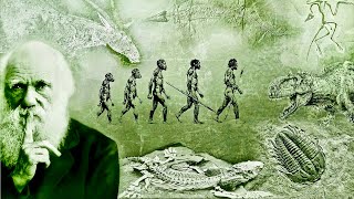 Evolution  What Darwin Never Knew  NOVA Full Documentary HD [upl. by Nylrahc]